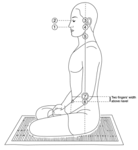 ideal-meditation-posture
